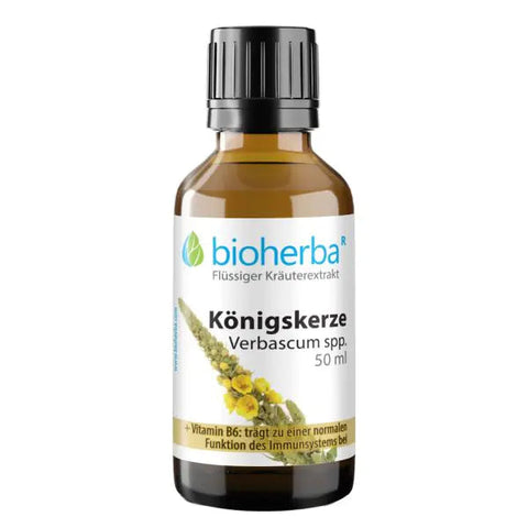 Königskerze Tropfen 50 ml – Tinktur mit Verbascum spp. & Vitamin B6 –  pflanzlich