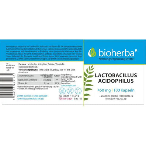 Lactobacillus Acidophilus 450 mg – Milchsäurebakterien Kapseln 100 Kapseln