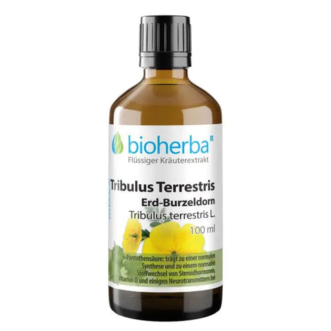 Tribulus Tropfen / Tinktur  100 ml – Burzeldorn Extrakt mit B5