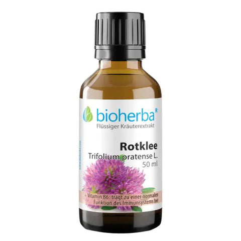Rotklee Trifolium pratense L. Tropfen Tinktur 50 ml
