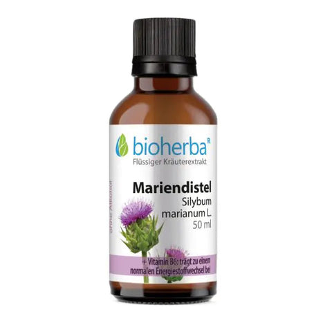 Mariendistel Silybum marianum L. Tropfen Tinktur 50 ml