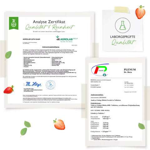 Ginkgo Biloba 6000 mg - Ginkgo Spezial Extrakt - 365 Tabletten