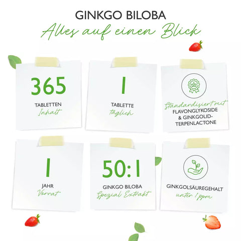 ginkgo-biloba-6000mg-365-tabletten-hochwertiger-extrakt-fuer-mentale-gesundheit-und-gehirnleistung-kaufen-guenstig-vlaneo-vlaneo-nahrungsergaenzungsmitteln-kaufen