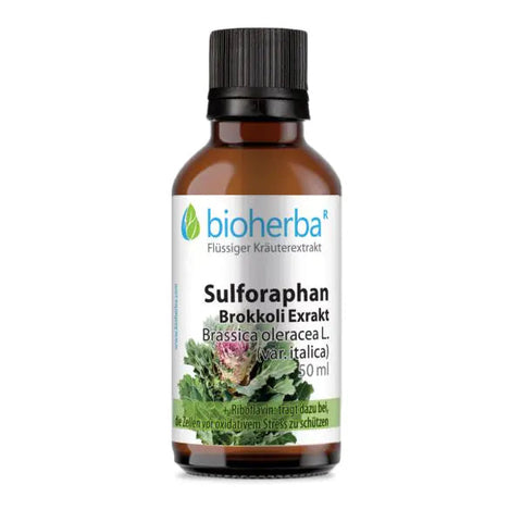 SULFORAPHAN Brokkoli Tropfen 50 ml – Tinktur mit Riboflavin (Vitamin B2) – pflanzlich