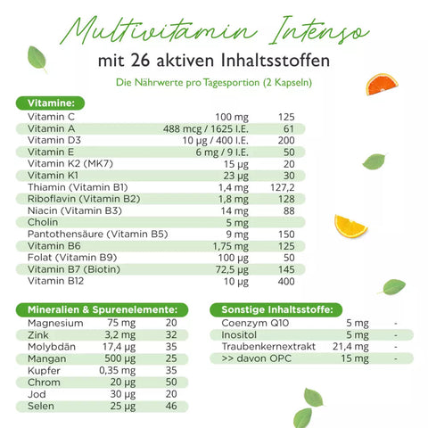 Premium Multivitamin Intenso - 365 Kapseln