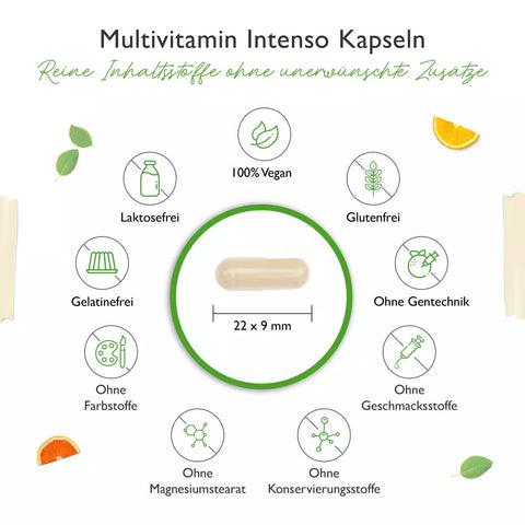 Premium Multivitamin Intenso - 365 Kapseln