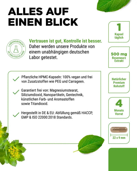 Rhodiola-Rosea-Rosenwurz-Extrakt-120-Kapseln-Kaufen-im-Vlaneo-Shop-Nahrungsergänzungsmittel-günstig-erhalten-Rhodiola-Rosea-Rosenwurz-Extrakt-120-Kapseln-jetzt-Nahrungsergänzungsmittel-im-Vlaneo-Shop-kaufen