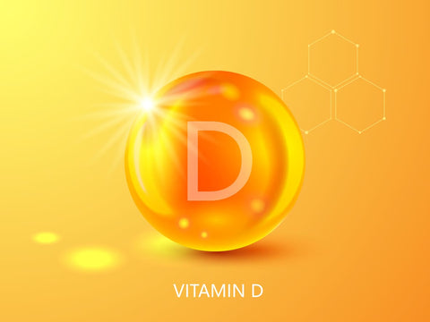 Was ist der Unterschied zwischen Vitamin D2 und D3?
