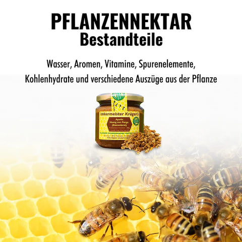 APOLLO Honig mit Perga (Bienenbrot) – Imker Naturprodukt 250g