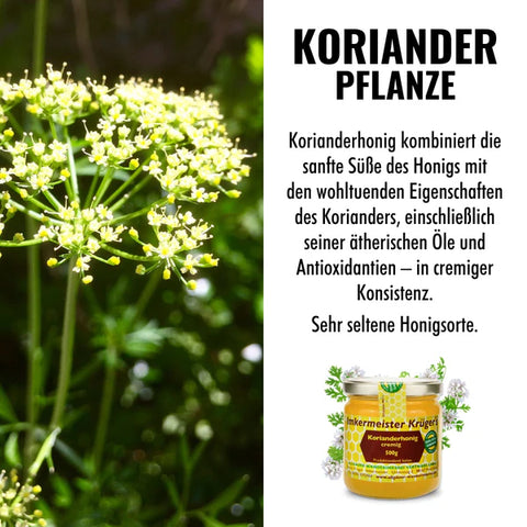 Korianderhonig cremig 500g