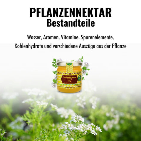 Korianderhonig cremig 500g