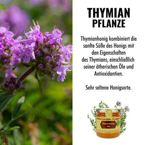 Thymianhonig – 100% Imker Naturprodukt 500g aus Spanien