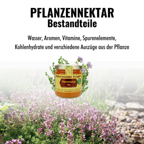 Thymianhonig – 100% Imker Naturprodukt 500g aus Spanien
