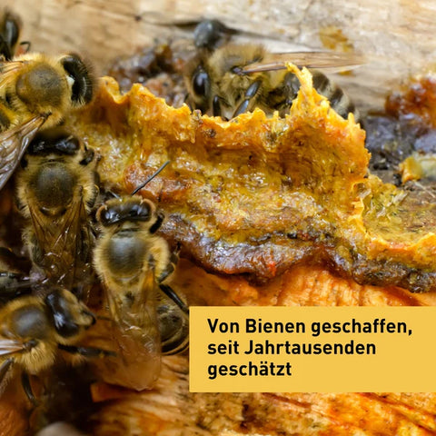 Propolis im Honig 250g