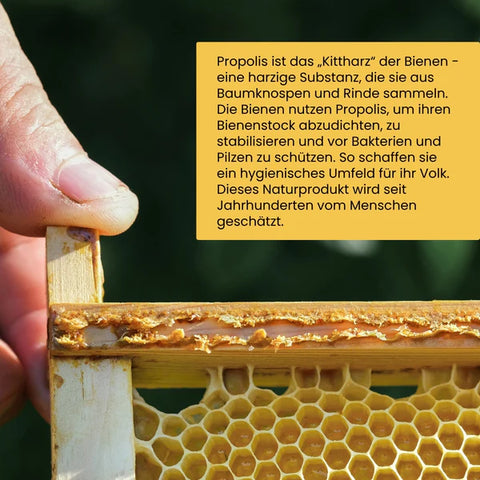 Propolis im Honig 250g