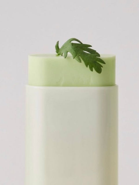 BEAUTY OF JOSEON Matte Sun Stick Mugwort&Camelia SPF50+