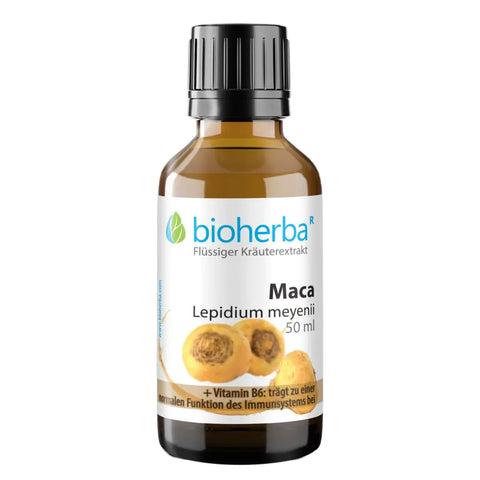 Maca Lepidium meyenii Tropfen Tinktur 50 ml