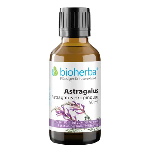 Astragalus Astragalus propinquus Tropfen Tinktur 50 ml