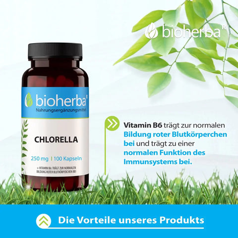 Chlorella 250 mg 100 Kapseln