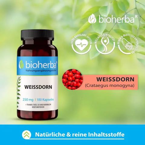 Weissdorn Extrakt 250 mg 100 Kapseln