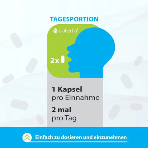 Weissdorn Extrakt 250 mg 100 Kapseln