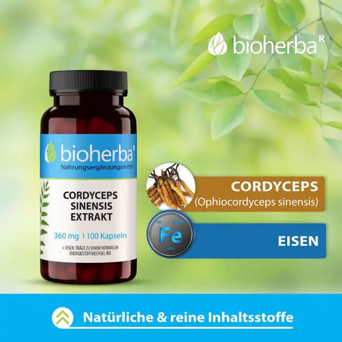 Cordyceps Sinensis Extrakt 360 mg 100 Kapseln