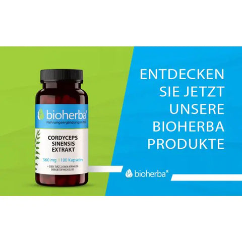 Cordyceps Sinensis Extrakt 360 mg 100 Kapseln