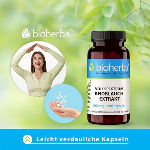 Vollspektrum Knoblauch Extrakt 260 mg 100 Kapseln
