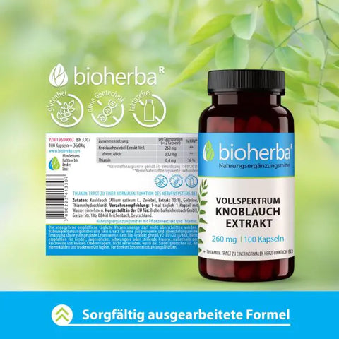 Vollspektrum Knoblauch Extrakt 260 mg 100 Kapseln