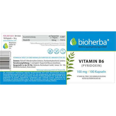 Vitamin B6 (Pyridoxin) 100 mg 100 Kapseln