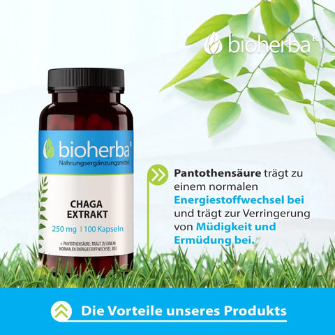 Chaga Extrakt 250 mg 100 Kapseln