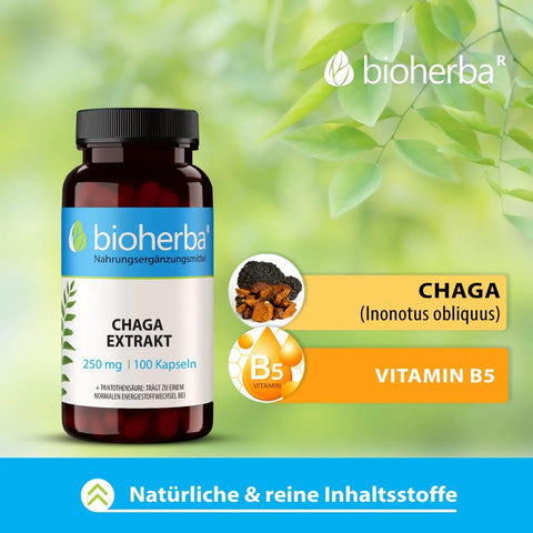 Chaga Extrakt 250 mg 100 Kapseln