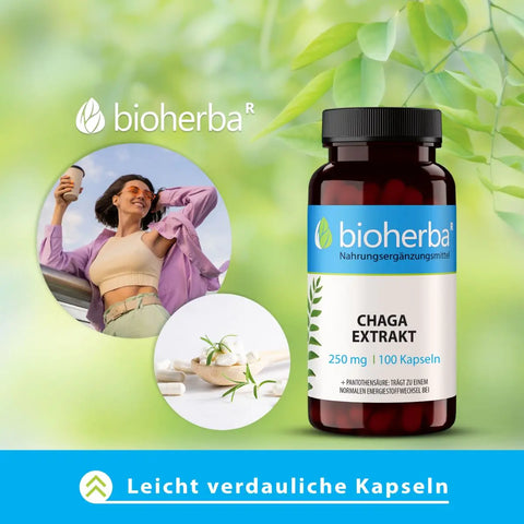 Chaga Extrakt 250 mg 100 Kapseln