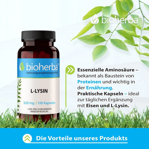 L-Lysin 320 mg 100 Kapseln