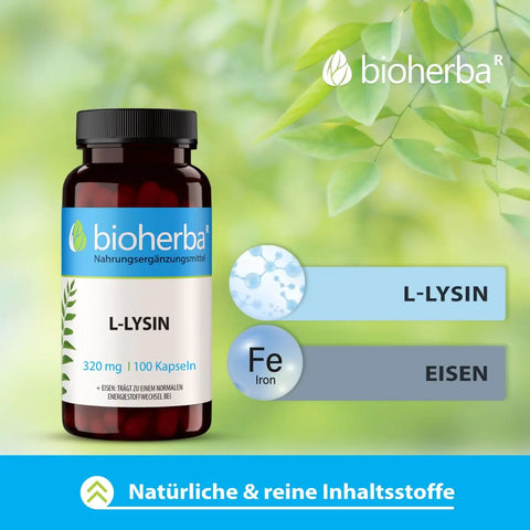 L-Lysin 320 mg 100 Kapseln