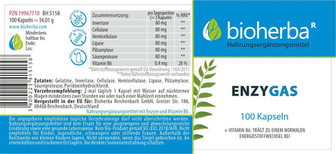 Enzygas – Nahrungsergänzung mit Enzymen | 100 Kapseln