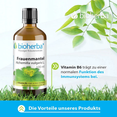 Frauenmantel Alchemilla vulgaris L. Tropfen Tinktur 100ml
