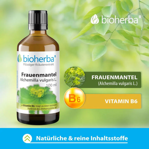 Frauenmantel Alchemilla vulgaris L. Tropfen Tinktur 100ml