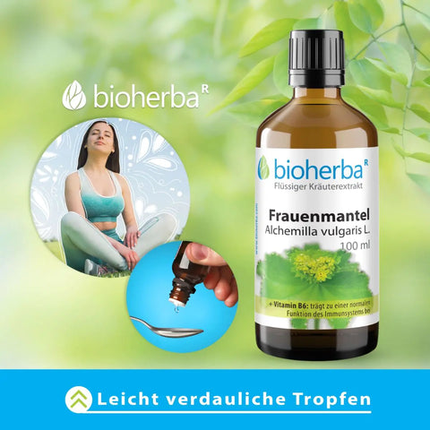 Frauenmantel Alchemilla vulgaris L. Tropfen Tinktur 100ml