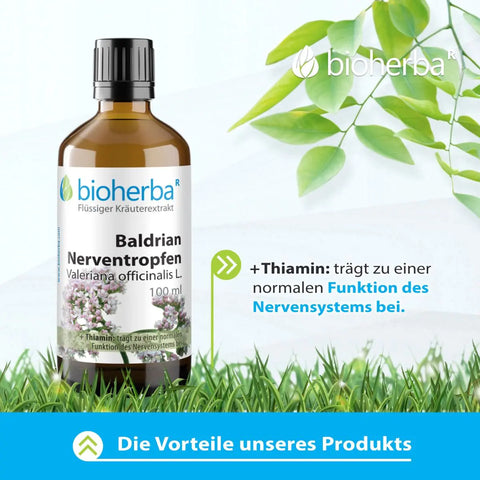 Baldrian Nerventropfen Valeriana officinalis L. Tinktur 100 ml