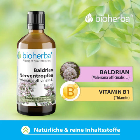 Baldrian Nerventropfen Valeriana officinalis L. Tinktur 100 ml
