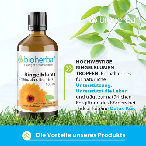 Ringelblume Calendula officinalis L. Tropfen Tinktur 100 ml