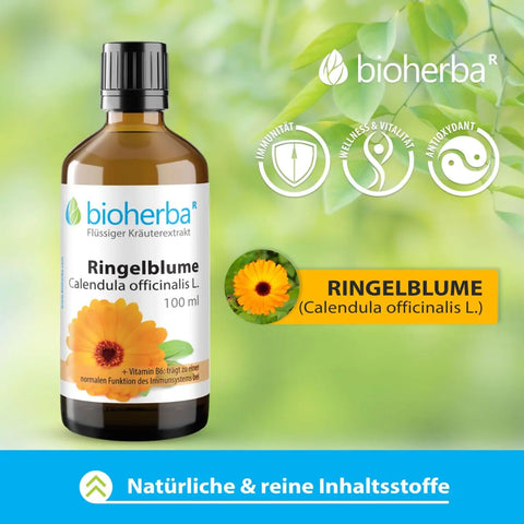 Ringelblume Calendula officinalis L. Tropfen Tinktur 100 ml
