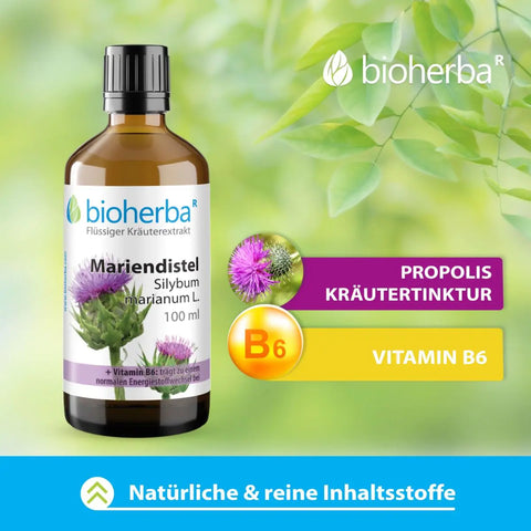 Mariendistel Silybum marianum L. Tropfen Tinktur 100 ml