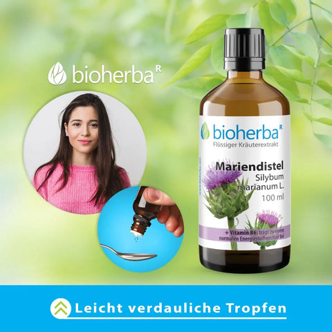 Mariendistel Silybum marianum L. Tropfen Tinktur 100 ml