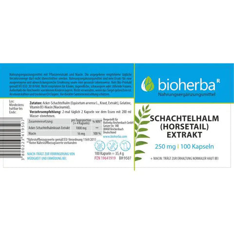 Schachtelhalm Horsetail Extrakt 250 mg 100 Kapseln