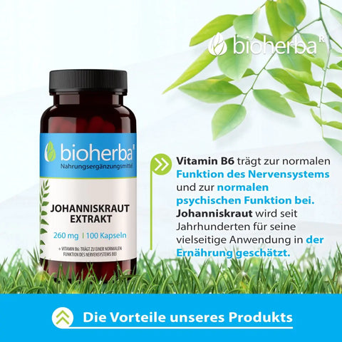 Johanniskraut Extrakt 260 mg 100 Kapseln
