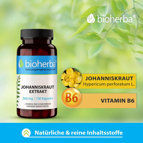 Johanniskraut Extrakt 260 mg 100 Kapseln