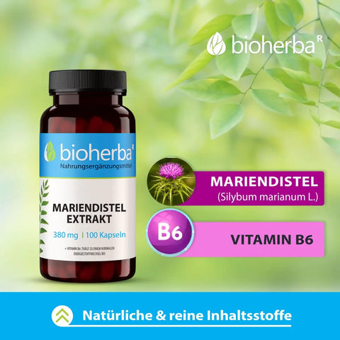 Mariendistel Extrakt 380 mg 100 Kapseln