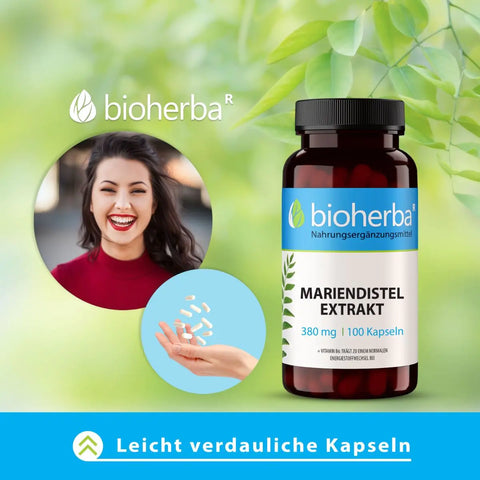 Mariendistel Extrakt 380 mg 100 Kapseln